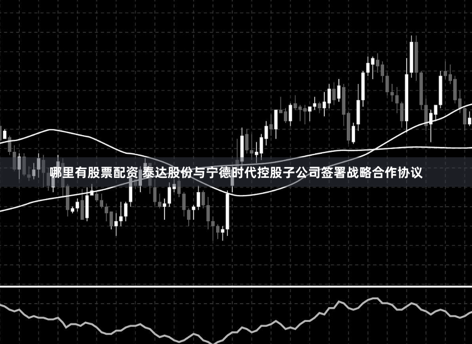 哪里有股票配资 泰达股份与宁德时代控股子公司签署战略合作协议