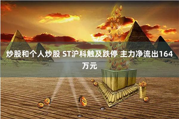 炒股和个人炒股 ST沪科触及跌停 主力净流出164万元
