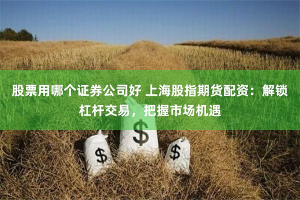 股票用哪个证券公司好 上海股指期货配资:解锁杠杆交易,把握市场机遇