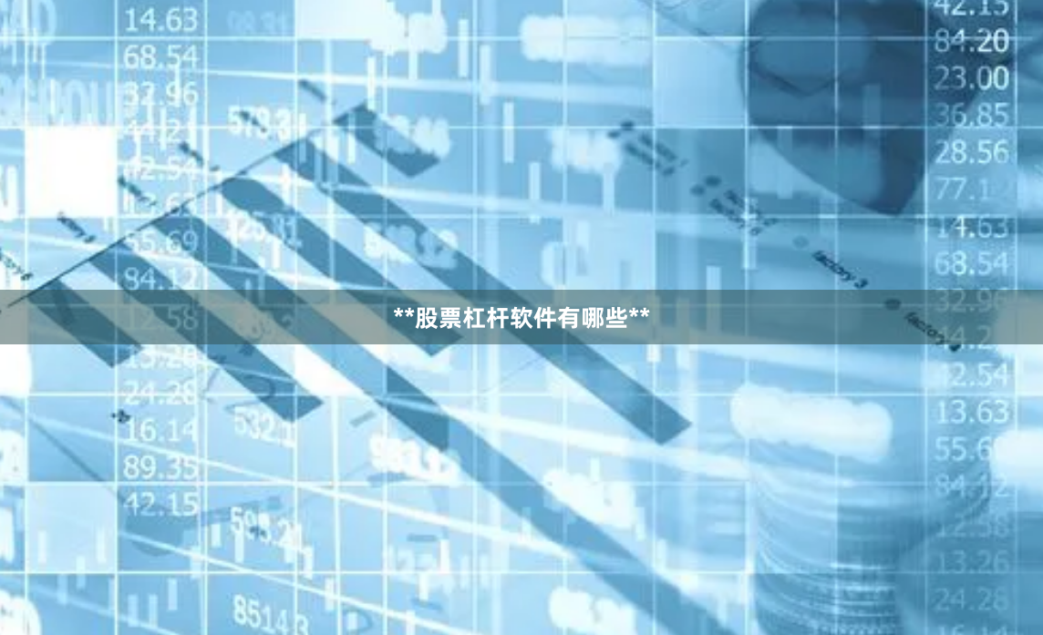 **股票杠杆软件有哪些**